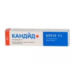 Кандид